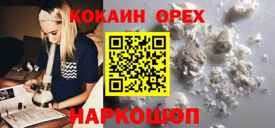 стаф Кунгур
