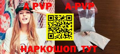 стаф Кунгур