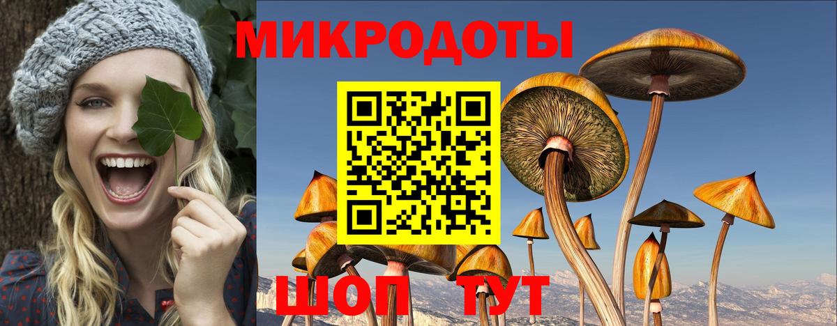 Галлюциногенные грибы MAGIC MUSHROOMS  Вход с VPN  Зеленогорск 